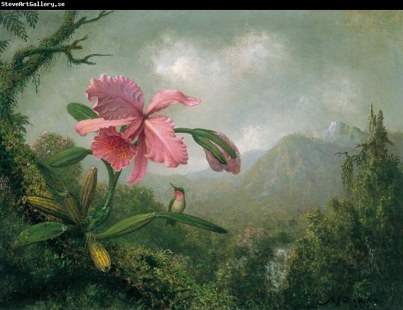 Martin Johnson Heade Orchid and Hummingbird near a Mountain Waterfall